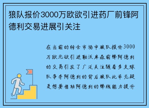 狼队报价3000万欧欲引进药厂前锋阿德利交易进展引关注