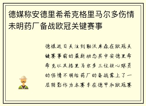 德媒称安德里希希克格里马尔多伤情未明药厂备战欧冠关键赛事